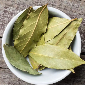 Hojas de Laurel Secas Orgánicas 99%+ Puras, Mezclas de Especias Saludables para Cocinar y Mezclas de Masala, Certificadas por FSSAI/ISO para Exportación - Product Image 1