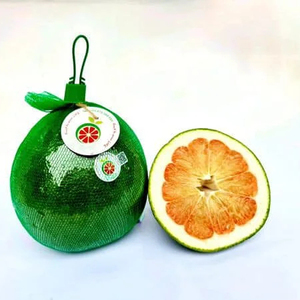 Precio muy competitivo zumo de pomelo cítricos para exportación fruta pumelo origen Vietnam - Product Image 1