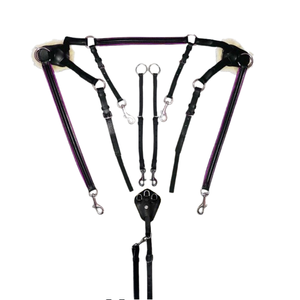 Caballo equino deporte personalizado 5 puntos coraza Martingala para montar a caballo 5 puntos coraza - Product Image 1