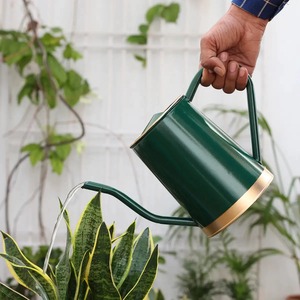 Arrosoir à revêtement en poudre métallique avec Long bec pour une utilisation intérieure et extérieure | Meilleur outil de jardinage domestique 2 litres - Product Image 2