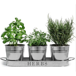 Classic Design Herb Container Pots Set of 3 Home and <b>Garden</b> Decorative Planter Prime Quality <b>Garden</b> Decor Plants Pots - Product Image 3