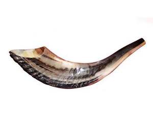 Shofar authentique en corne de buffle naturelle, artisanat métallique fait à la main pour les rassemblements spirituels, utilisation au temple, décoration de cuisine - Écologique - Product Image 6