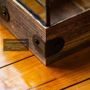 Terrario de Vidrio Hecho a Mano en EE. UU. con Base de Madera y Rejilla de Ventilación para Insectos, Arañas, <span class=keywords><strong>Mantis</strong></span>, Decoración del Hogar - Product Image 5