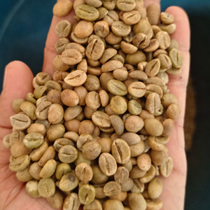 Granos de Café Verde Natural 100% de Alta Calidad, Tueste Brasileño, Grado A, en Bolsa de 1 kg - Product Image 5