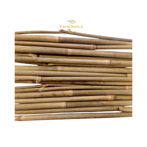 Soporte para Plantas de Jardín de Origen Vietnamita de Alta Calidad, Personalizado, 40 cm 300 cm, Mejor Precio, Poste de Bambú Natural Ecológico y Resistente - Product Image 5