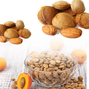 Granos de albaricoque | Suministro a granel Premium para fabricantes de nutracéuticos - Product Image 4