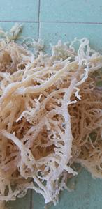 สาหร่ายทะเลแห้งรสเผ็ดคุณภาพสูง แอนนา - Product Image 3