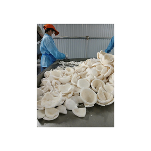Tranches de noix de coco congelées fabriquées à partir de noix de coco mûres traitées avec la technologie IQF moderne conservant le goût et la nutrition idéale - Product Image 1