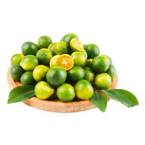 Délicieux jus de kumquat rafraîchissant et vibrant jus de kumquat congelé biologique certifié pur et nourrissant - Product Image 6