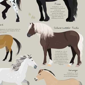 Modern Style Horses of the Earth <b>Poster</b> Featuring the Most Famous Horse Breeds for Wall Usage Paper Material - Product Image 4