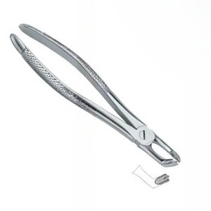 Forceps d'extraction de dents dentaires avec logo personnalisé d'excellente qualité Fig79 Instruments dentaires en acier inoxydable - Product Image 4