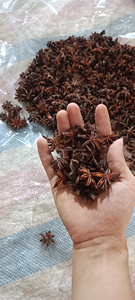 Meilleure qualité de graines de poivre de cannelle d'anis étoilé Cassia printemps d'hiver provenant du Vietnam directement de Lucy + 84939244365 - Product Image 4