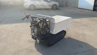 0.5T jardin mini dumper petit camion à benne basculante mini camion