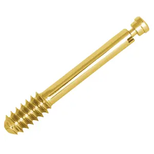 DHSDCS-Screw-O-12.5mm-with-Compression-Screw-2基础外科定制医用优质锁骨板