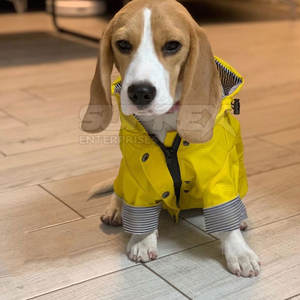 Impermeable para Perros de Algodón Moderno de Alta Calidad 2026, con Capucha, Ligero y Resistente al Viento - Product Image 3