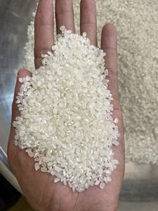 Japonica ข้าวทรงกลม GMO koshibikari ซูชิข้าวเวียดนามแบบสั้นตากแห้งยาวโรงงานชื่ออื่นๆ Riz- WS: + 84-915355383 - Product Image 5