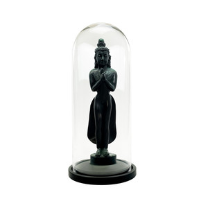 VDM1125WB - โดมแก้ว XL พร้อมฐานไม้สีดำ - 25 - Product Image 5