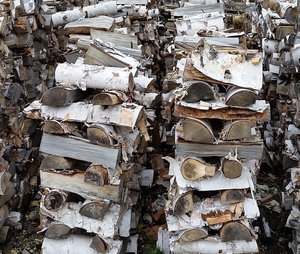 Leña de madera dura de alta calidad, premium, seca en horno, de roble, abedul, haya, fresno, cuadrada, negra, 25-30cm x 8-15cm, venta al por mayor en EE. UU. - Product Image 2