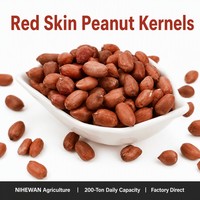[Testé pour l'aflatoxine] Grains d'arachides rouges en vrac |   24/28 Skin-On |   Conforme à la réglementation européenne 2023/915 |   Fournisseur NIHEWAN