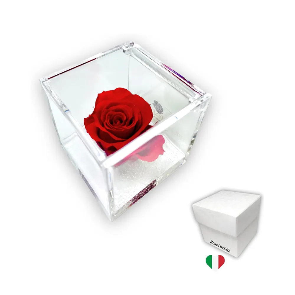 Melhor Qualidade Rosa Estabilizada e Perfumada Black Rose Cube com Real Eterna Rose Gift Idea para Mãe Namorada Amiga