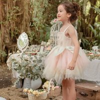 Fée Style Main Perles Paillettes Et Pétales Machine Broderie Bébé Fille Robe Rose Sans Manches Pour Enfant-Robe De Fée
