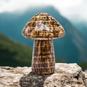 Aragonite champignon cristal naturel sculpture Mini Figurine pierre précieuse pour l'énergie Reiki Feng Shui décor à la maison et cadeaux - Product Image 4
