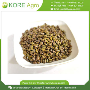 Bán buôn 100% tự nhiên tối ưu chất lượng cassia TORA hạt giống chiết xuất thảo dược từ Hoang Dã phát triển lá gia vị trong trống bao bì - Product Image 2