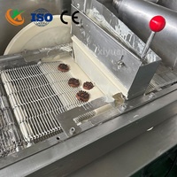 Machine industrielle de refroidissement par tunnel en acier inoxydable pour le revêtement au chocolat des mangues, cantaloupes, ananas et papayes – Équipement pour snacks