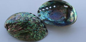 Green Choice Vietnam <b>Abalone</b> <b>Shell</b> Natural Iridescent Glow Vietnam <b>Abalone</b> <b>Shell</b> for Handmade Sustainable Ocean Decor - Product Image 4