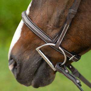 Genuine Full Horse Leather <b>Jumper</b> Bridle Western English Style Riding Equipment Durable and <b>Stylish</b> Bridle for Horse Riding - Product Image 3