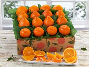 Naranjas Valencia, nueva cosecha de naranjas Navel frescas para venta al por mayor. - Product Image 5