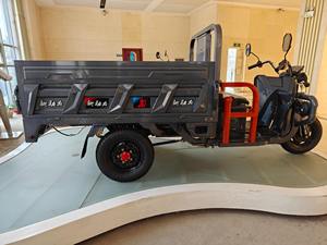 Motocicleta Económica de Tres Ruedas a Gasolina, Triciclo Doméstico Agrícola de Combustible a Gasolina - Product Image 5