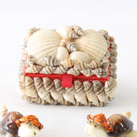 Accessoires Organisateur Boîte Coquillage Bijoux Montre Boucle d'oreille Coffrets Cadeaux Bibelot fait main Petite Boîte carrée