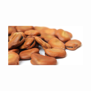 Modified Starch for Snack Horse <b>Beans</b> Mocha Edible Pearl for Sale Wholesale Fava <b>Bean</b> - Product Image 4