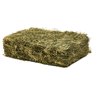 Alfafa Hay Animal Feeding Stuff Alfalfa, heno/pellets de heno de alfalfa Timothy Hay/ Alfafa en fardos Best - Product Image 6