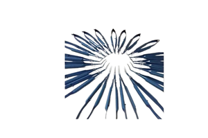 INSTRUMENTOS QUIRúRGICOS DE GRADO PREMIUM INSTRUMENTOS QUIRúRGICOS DE TITANIO OFTÁLMICO REUTILIZABLES - Product Image 5