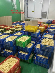 VERDURAS ENLATADAS DE PRIMERA CALIDAD, MAÍZ EN GRANOS PARA DISTRIBUIDORES Y MAYORISTAS - Product Image 6
