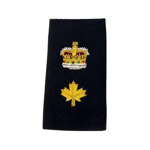 Charreteras personalizadas de alta calidad, charreteras e insignias de piloto, uniformes formales de aerolínea, accesorios de Charretera, hombreras - Product Image 6