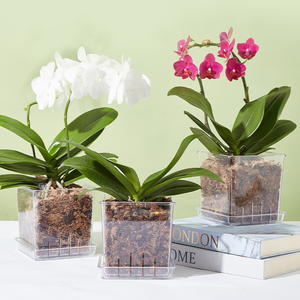 <span class=keywords><strong>Pot</strong></span> <span class=keywords><strong>de</strong></span> pépinière transparent Pots en plastique avec plateau et drainage pour rempoter le <span class=keywords><strong>pot</strong></span> <span class=keywords><strong>de</strong></span> jardinière d'orchidées pour une utilisation à vie - Product Image 2