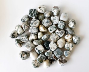 Wholesale Polished <b>Tree</b> Agate 1kg Natural Healing Tumbled Stones Semi Precious <b>Crystal</b> For Decoration Meditation - Product Image 1