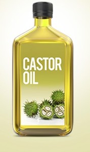 Graines de ricin biologiques de haute qualité d'origine utilisées dans les cosmétiques-Fabricants et exportateurs en gros Emballage de bonne qualité - Product Image 3