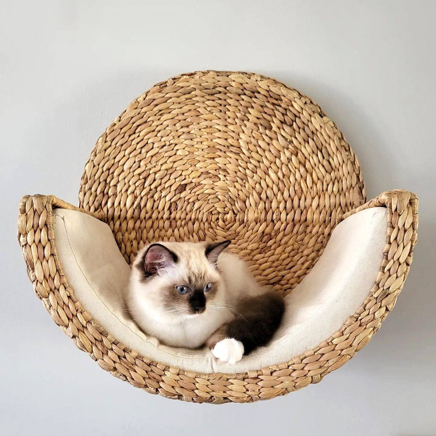 ธรรมชาติ