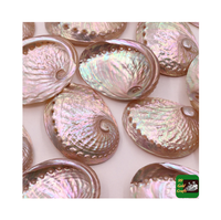 Kerang celup merah muda mengilap dekorasi aksen noda kerang/Paua Selandia Baru ibu kerang mutiara harga murah