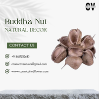 Bunga Kering Kosmik Alami, Biji Buddha Klasik Elegan Rustic Berkualitas Tinggi, Seperti Asli, Ramah Lingkungan, Dekorasi Pernikahan