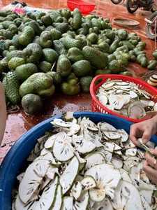 ชาทุเรียนเทศแห้งผสมผสานระหว่างรสชาติเขตร้อนและประโยชน์ต่อสุขภาพอย่างลงตัว - Product Image 5