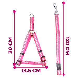 Set di Imbracatura e Guinzaglio Riflettente in Nylon per Cani e Gatti, Comodo e Antifuga, Stile Solido in Materiale Oxford - Product Image 1