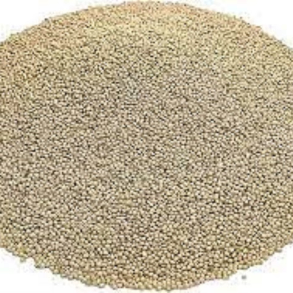 100% Pure Organic White French Millet Dried Style Cultivation Bulk Purchase