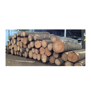 Straight Grain <b>Oak</b> Round <b>Logs</b> White <b>Oak</b> and Red <b>Oak</b> Timber for Lumber and Joinery Industry - Product Image 1