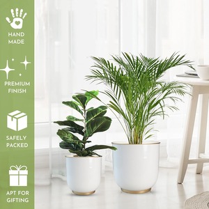 Pot de fleurs blanc avec motif doré pour la décoration moderne de la maison, parfait pour les plantes d'intérieur, le salon, le dessus de table et une présentation élégante - Product Image 6