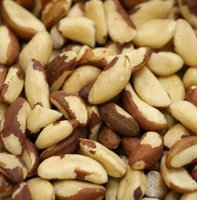 Groothandel Hoge Kwaliteit Verse Oogst Bulk Goedkope Prijzen Eiwit en Essentiële Aminozuren Braziliaanse Noten uit Peru Te Koop